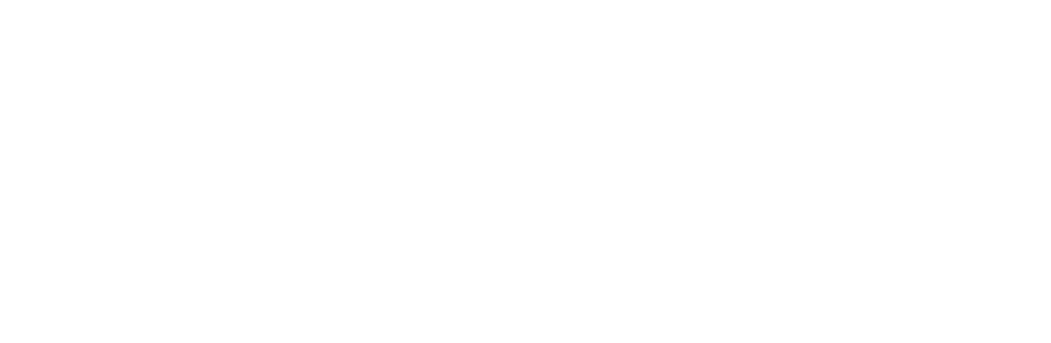 Logo White