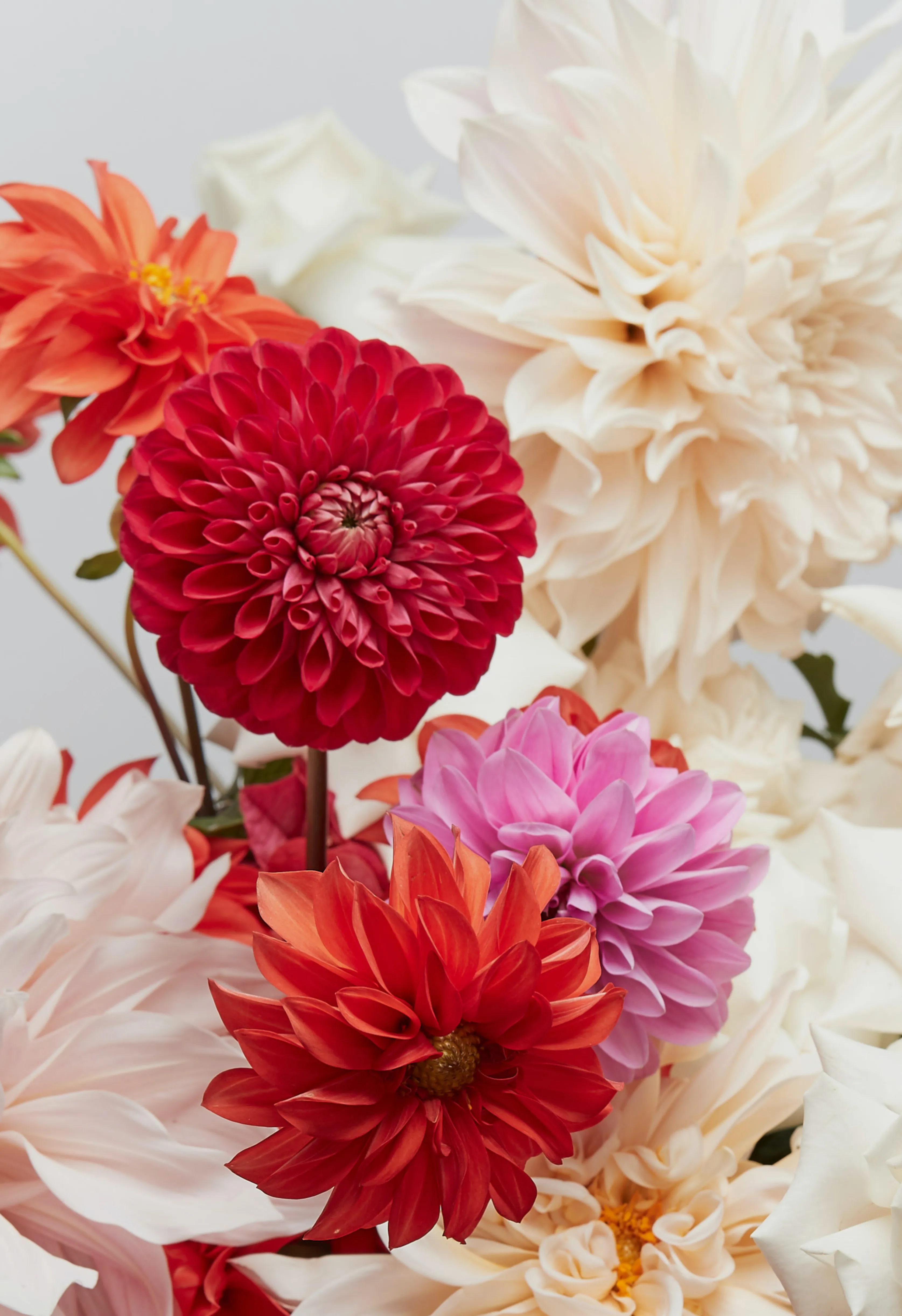 Brisbane wedding flowers from Stem Brisbane's best floral designer.