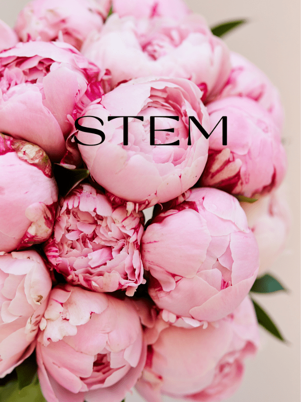 Buy Peonies Brisbane