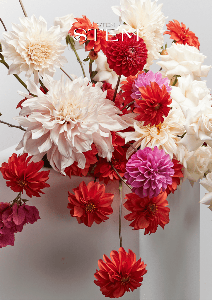 WHAT FLOWERS LAST THE LONGEST