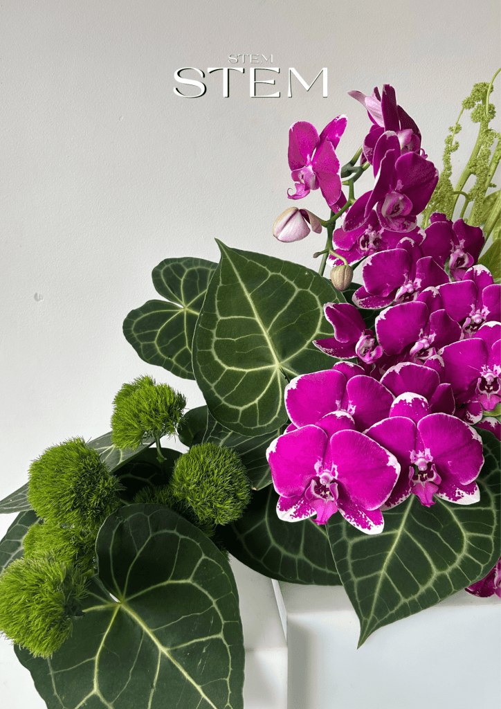 Floral arrangement featuring magenta orchids, anthurium leaves, and green trick dianthus, styled by Stem Design Brisbane for weddings and events.