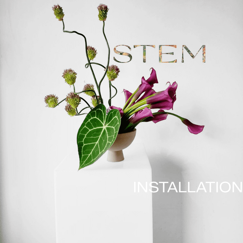 Professional wedding flower installation completed by Stem Design at a Brisbane venue.