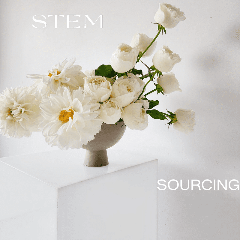 Premium seasonal flowers sourced fresh for weddings and events by Stem Design Brisbane.